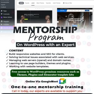 Website training, Top website training in Ghana, Mentorship Programmes on WordPress with an Expert