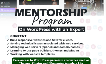 Website training, Top website training in Ghana, Mentorship Programmes on WordPress with an Expert