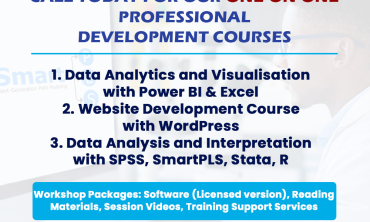 Statistics training, SPSS, SmartPLS, Excel, One on one IT training